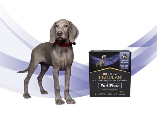 ピュリナ プロプラン ベテリナリーダイエット 犬用サプリメント